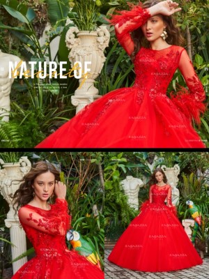   : Venta y renta vestidos y  accesorios, Matamoros Tamaulipas : Tel 868 817 2602